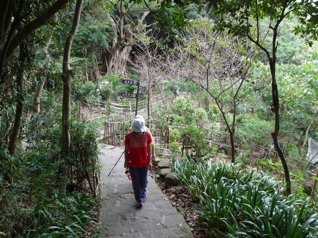 鷹嘴峰、尖山 (111).JPG