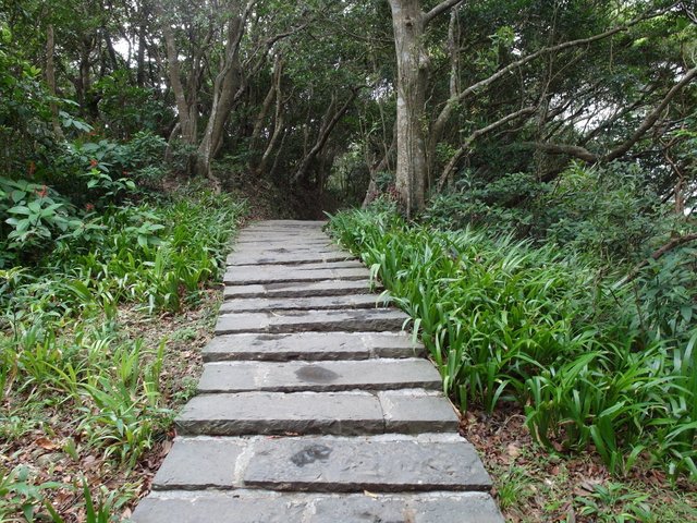 鷹嘴峰、尖山 (112).JPG