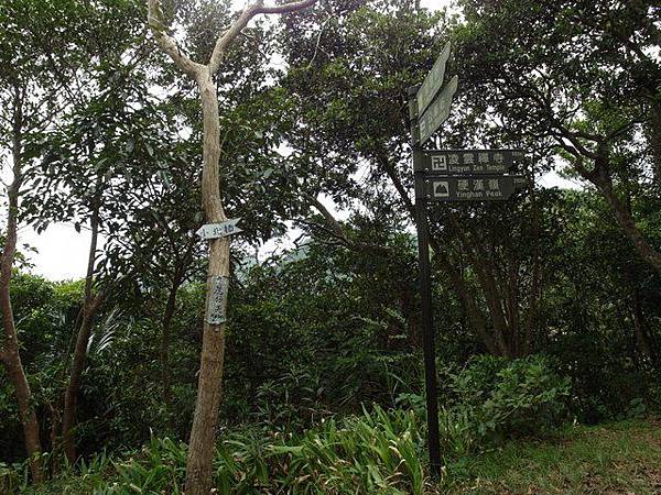 鷹嘴峰、尖山 (117).JPG