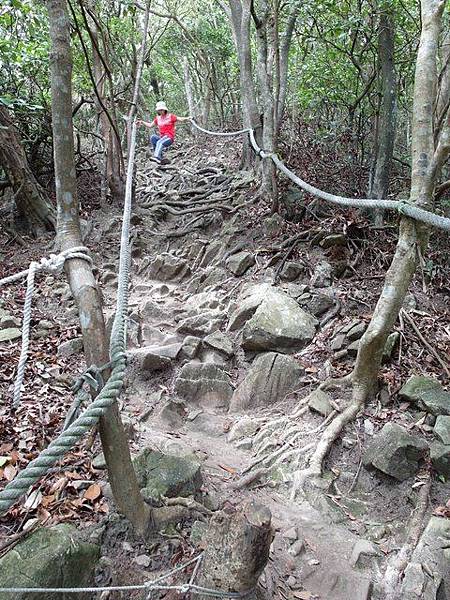 鷹嘴峰、尖山 (124).JPG