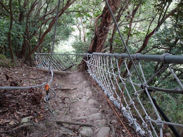 鷹嘴峰、尖山 (128).JPG