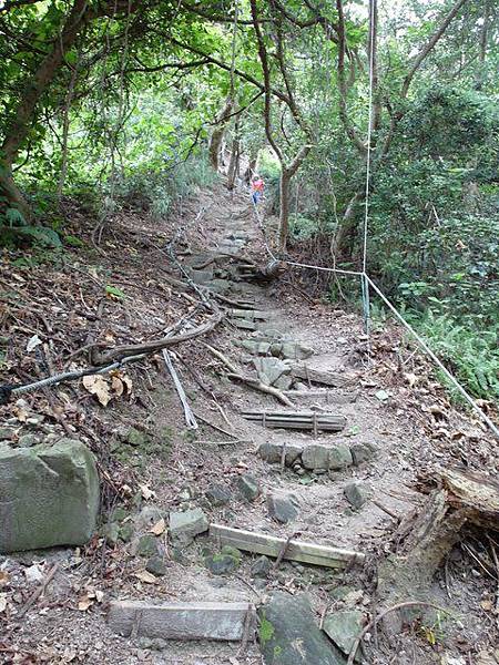 鷹嘴峰、尖山 (132).JPG