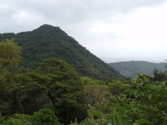 鷹嘴峰、尖山 (151).JPG