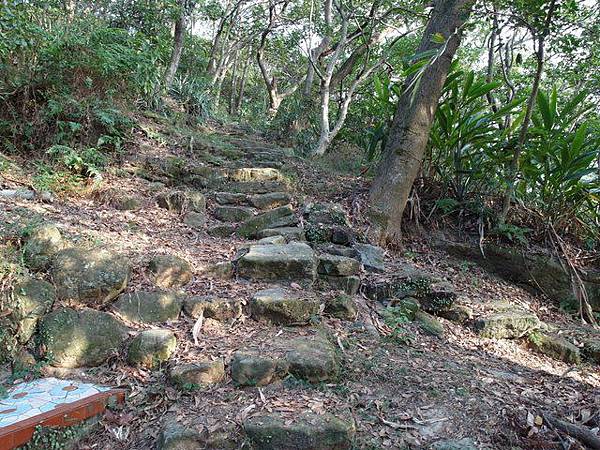 東華山、奇岩山、唭哩岸山 (26).JPG