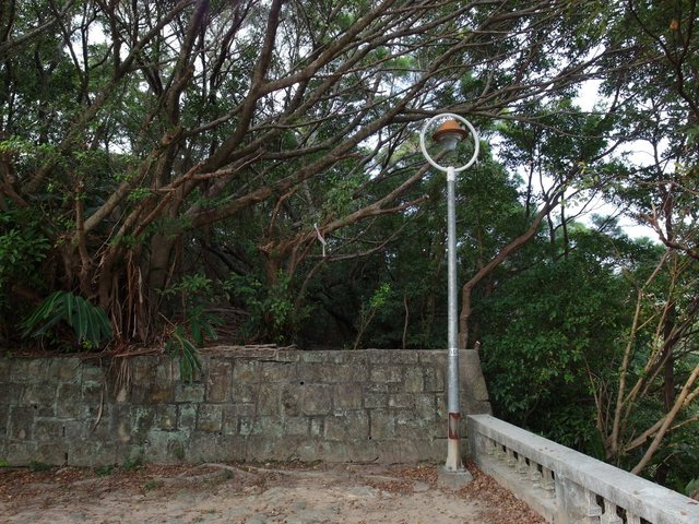 東華山、奇岩山、唭哩岸山 (43).JPG