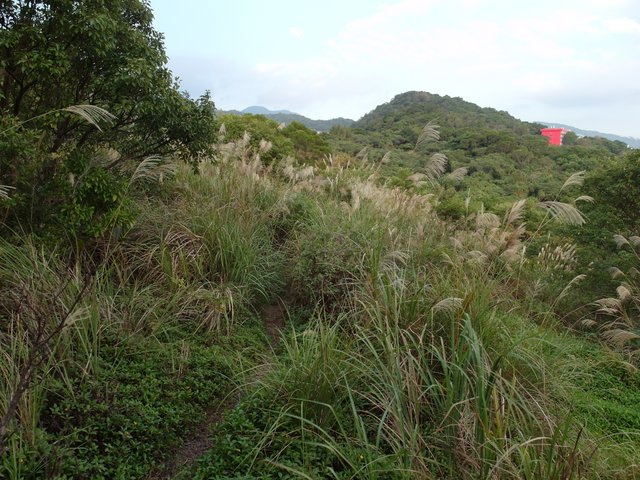 東華山、奇岩山、唭哩岸山 (46).JPG