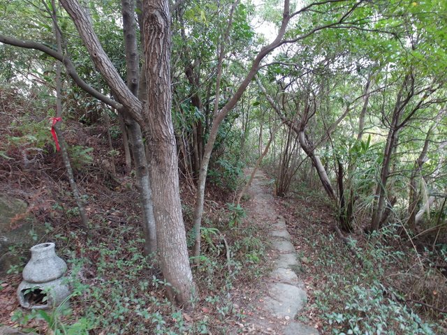 東華山、奇岩山、唭哩岸山 (44).JPG