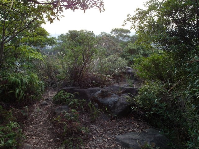 東華山、奇岩山、唭哩岸山 (54).JPG