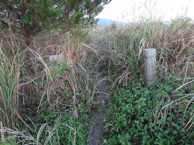 東華山、奇岩山、唭哩岸山 (81).JPG