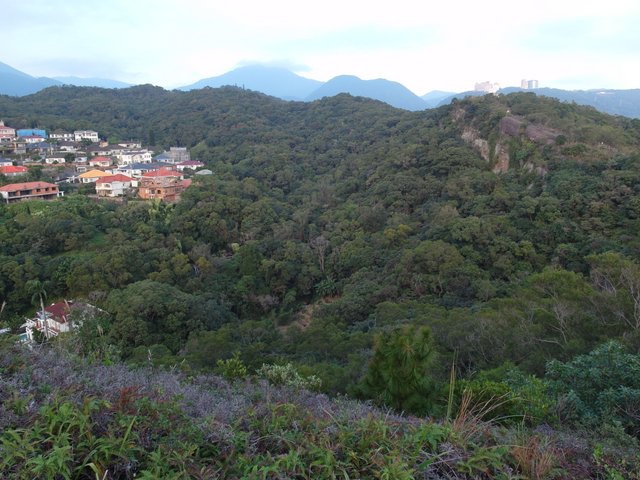 東華山、奇岩山、唭哩岸山 (108).JPG