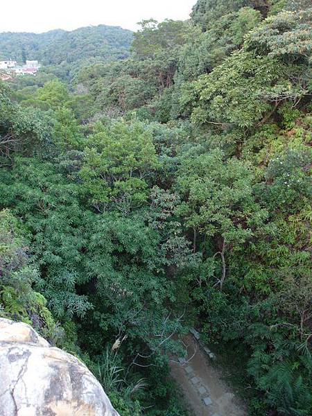 東華山、奇岩山、唭哩岸山 (111).JPG