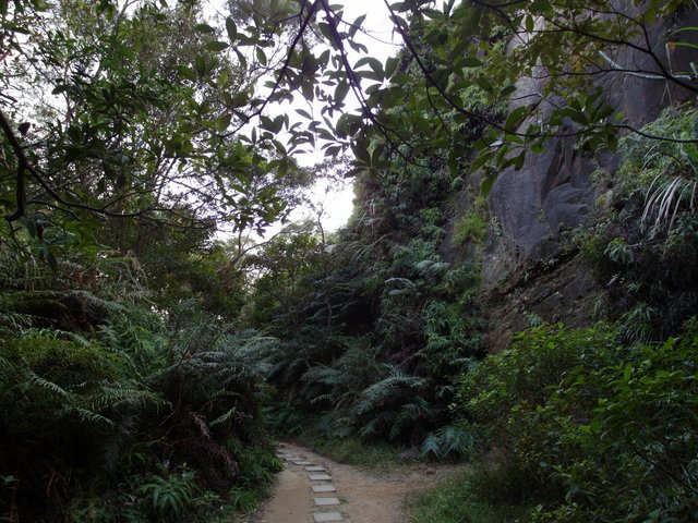 東華山、奇岩山、唭哩岸山 (115).JPG