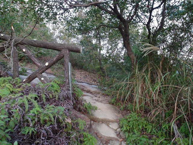 東華山、奇岩山、唭哩岸山 (117).JPG