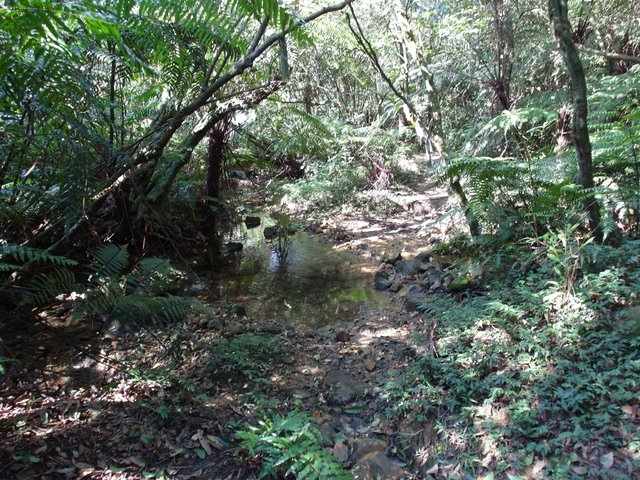 雙溪溝古道 (62).JPG