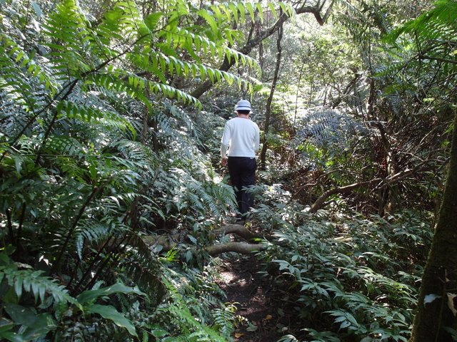 雙溪溝古道 (99).JPG