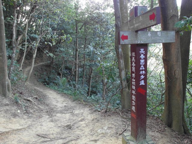 鳶山 (273).JPG