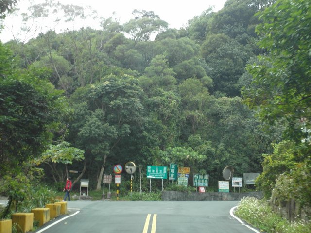 碧山路 (9).JPG