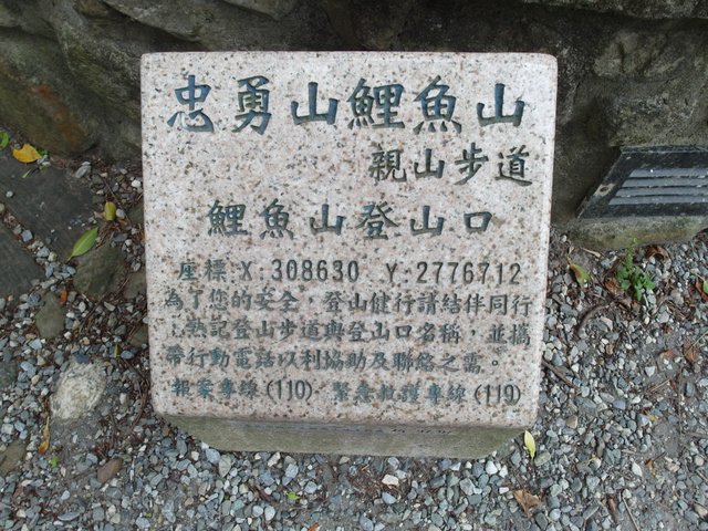 碧山路 (10).JPG