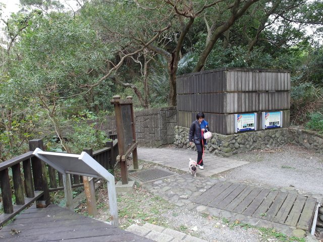 碧山路 (17).JPG