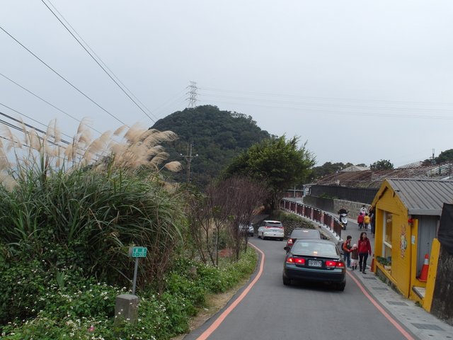 碧山路 (49).JPG