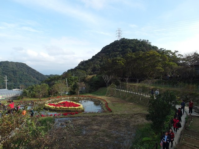 內湖三尖：忠勇山、圓覺尖、鯉魚山 (80).JPG