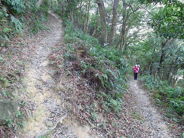 內湖三尖：忠勇山、圓覺尖、鯉魚山 (97).JPG