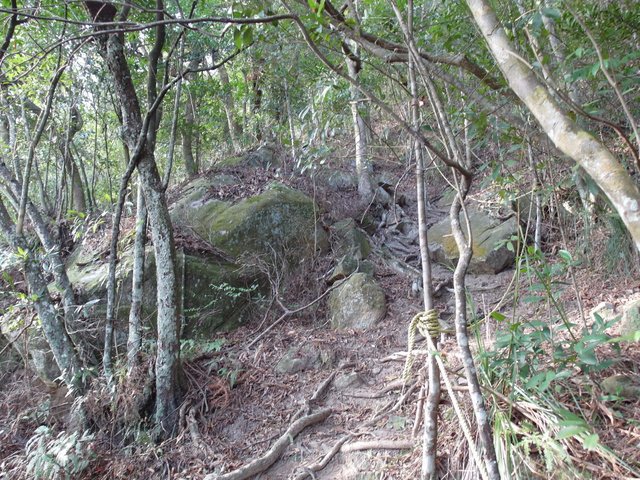 內湖三尖：忠勇山、圓覺尖、鯉魚山 (131).JPG