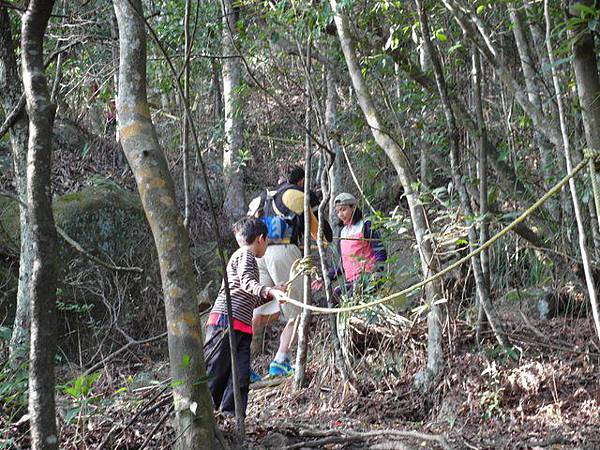 內湖三尖：忠勇山、圓覺尖、鯉魚山 (133).JPG