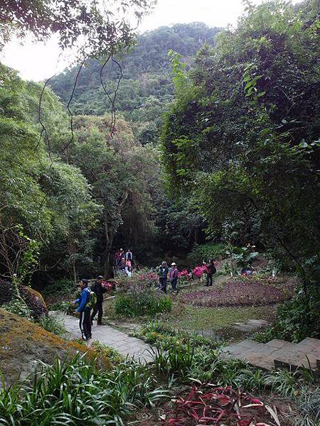 內湖三尖：忠勇山、圓覺尖、鯉魚山 (152).JPG