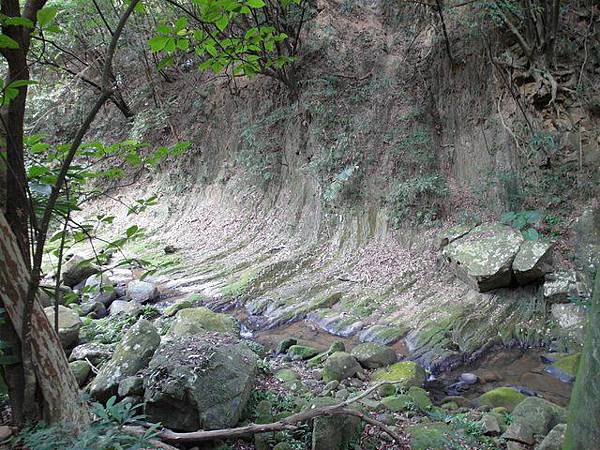 內湖三尖：忠勇山、圓覺尖、鯉魚山 (160).JPG