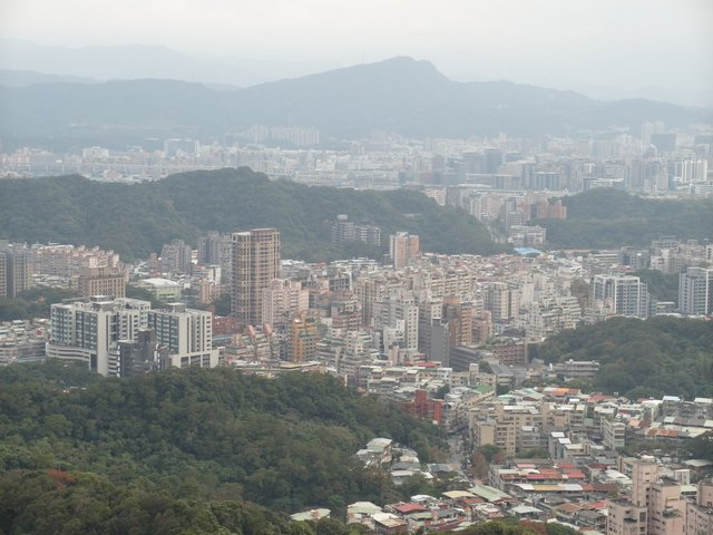 內湖三尖：忠勇山、圓覺尖、鯉魚山 (204).JPG