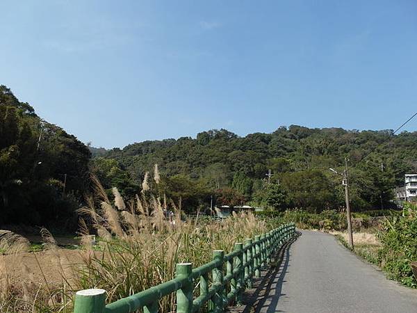 鳶尾山步道 (33).JPG
