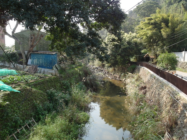 鳶尾山步道 (60).JPG