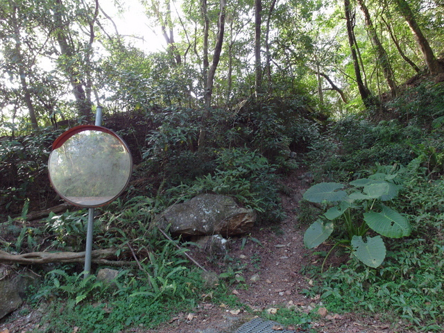 五峰旗瀑布頂步道 (8).JPG