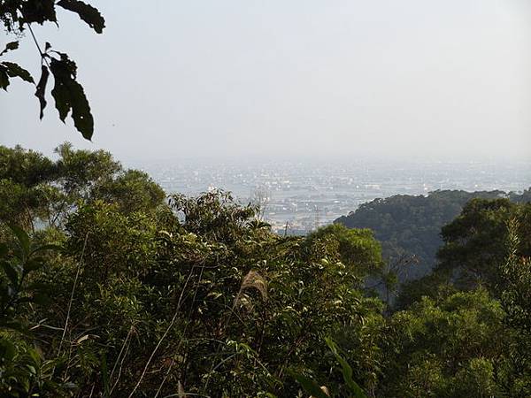 五峰旗瀑布頂步道 (10).JPG