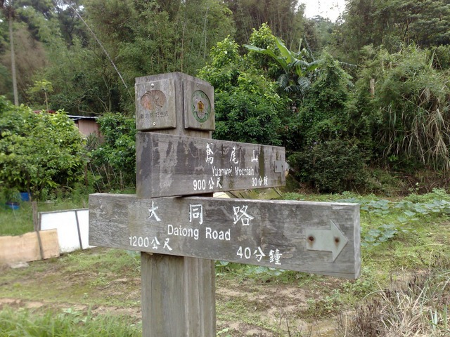 鳶尾山步道 (70).jpg