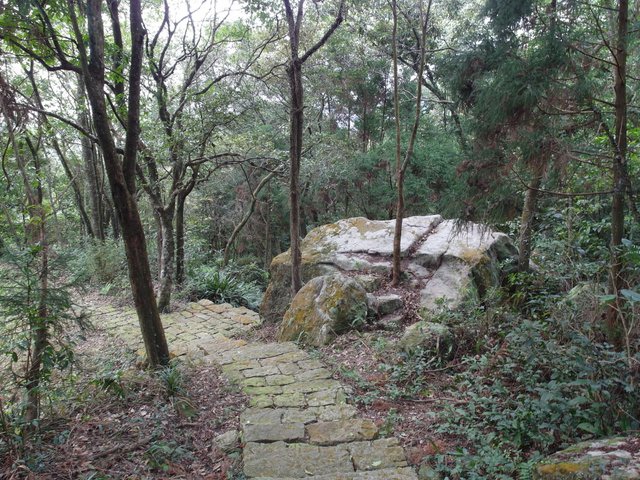 帕米爾公園 (19).JPG