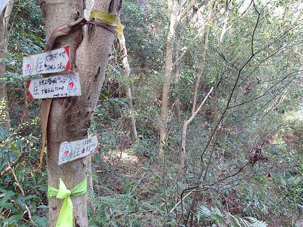 大邱田山 (42).JPG