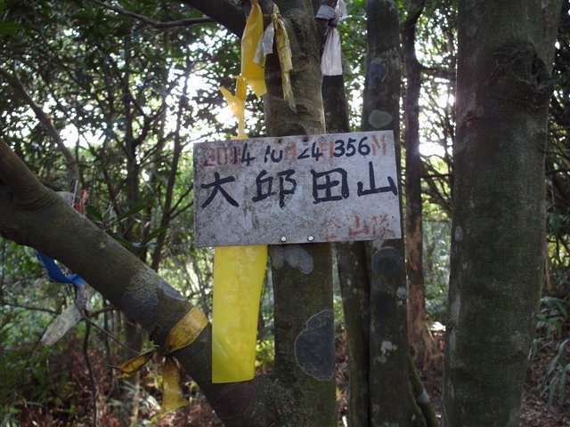 大邱田山 (70).JPG