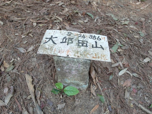 大邱田山 (69).JPG