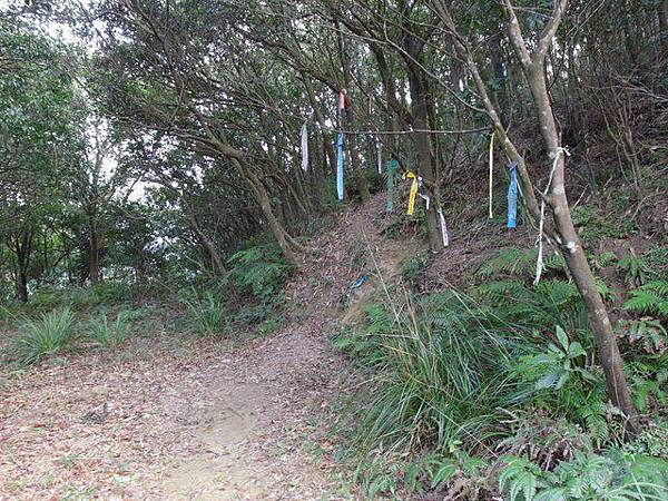 大邱田山 (86).JPG