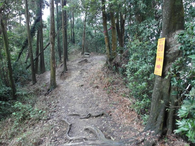 仙山 (70).JPG