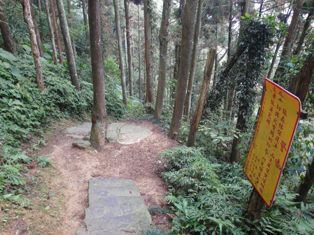 仙山 (72).JPG