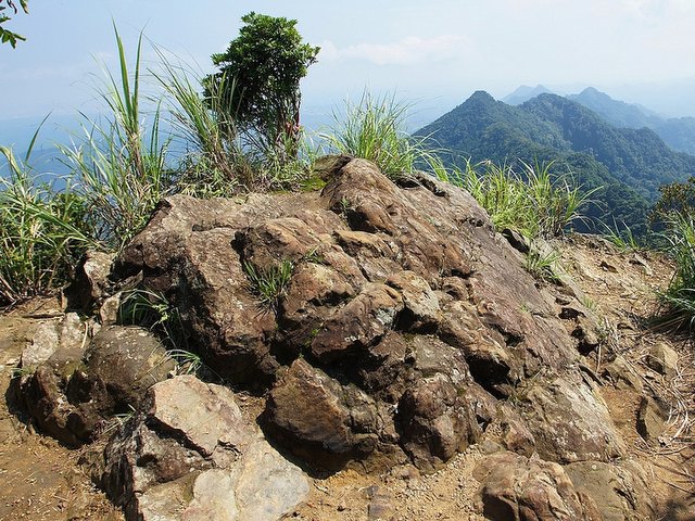 仙山 (107).JPG