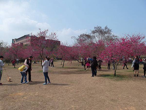 暨南大學 (12).JPG