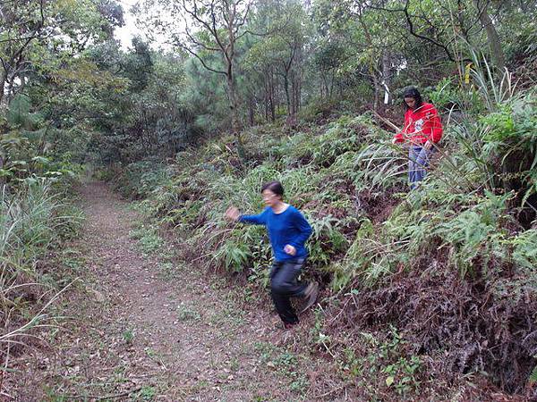 新北投山 (32).JPG