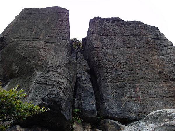 新北投山 (77).JPG