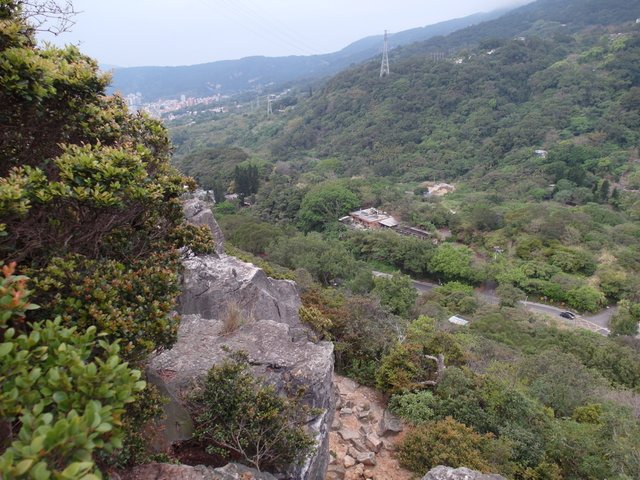 新北投山 (84).JPG