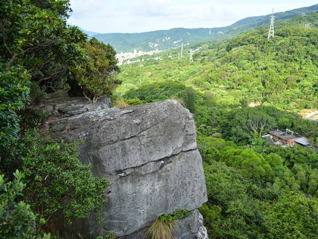 新北投山 (108).JPG