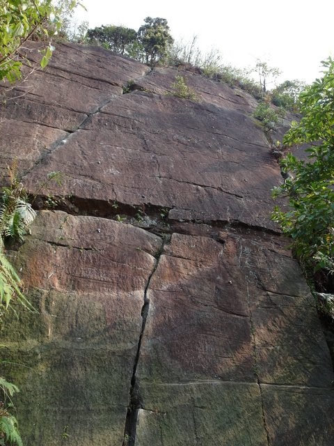 熱海岩場 (48).jpg